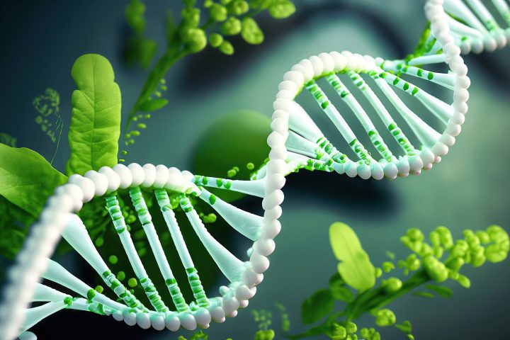 DNA helix with green plants