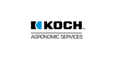Kock