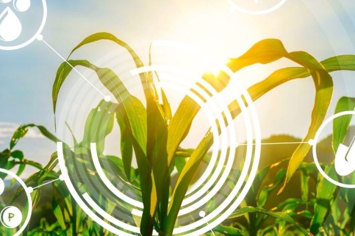 Digital Ag Header