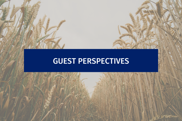 Guest Perspectives Blog Header